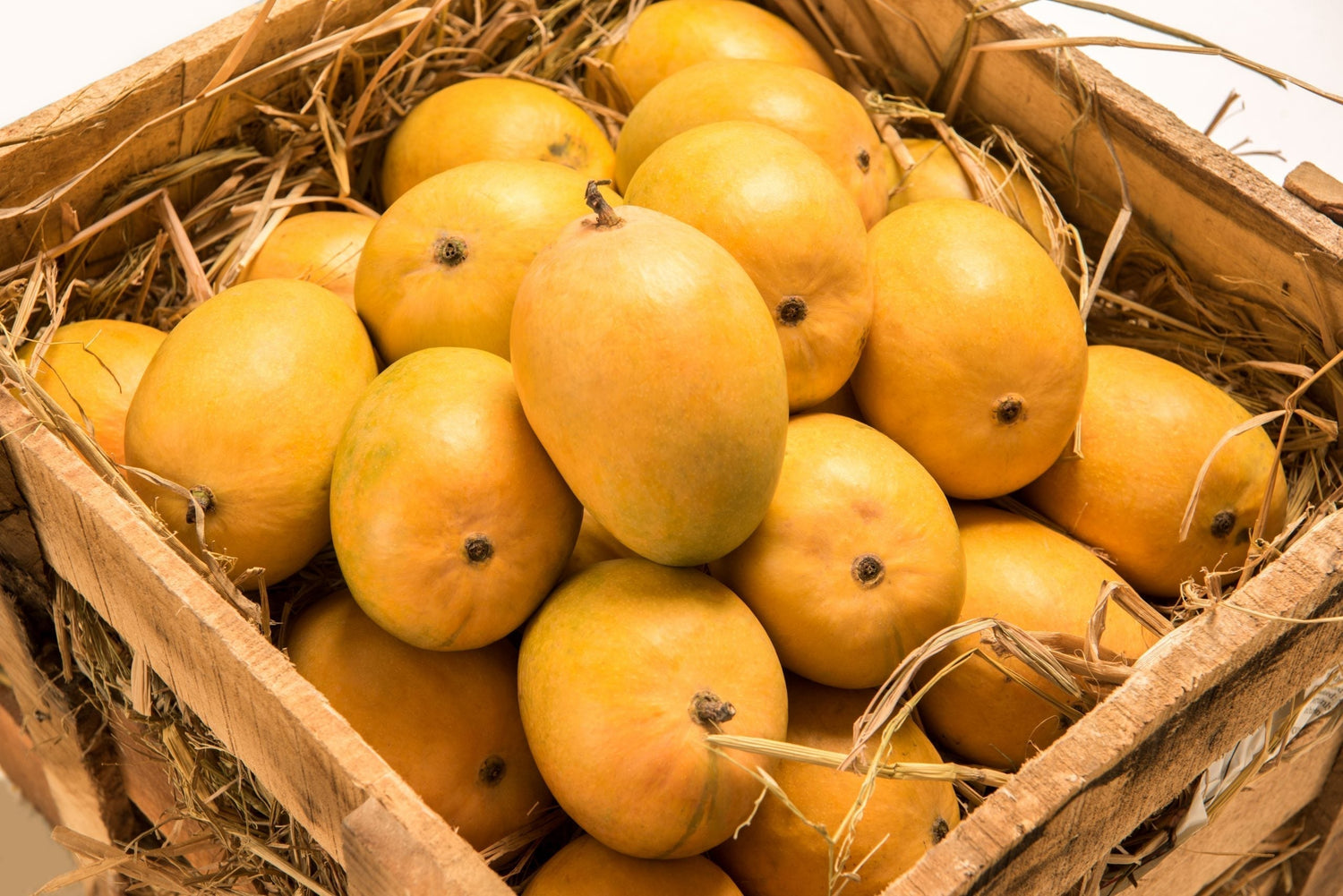 Alphonso vs Kesar vs Banganapalli: Which Indian Mango is Right for You?