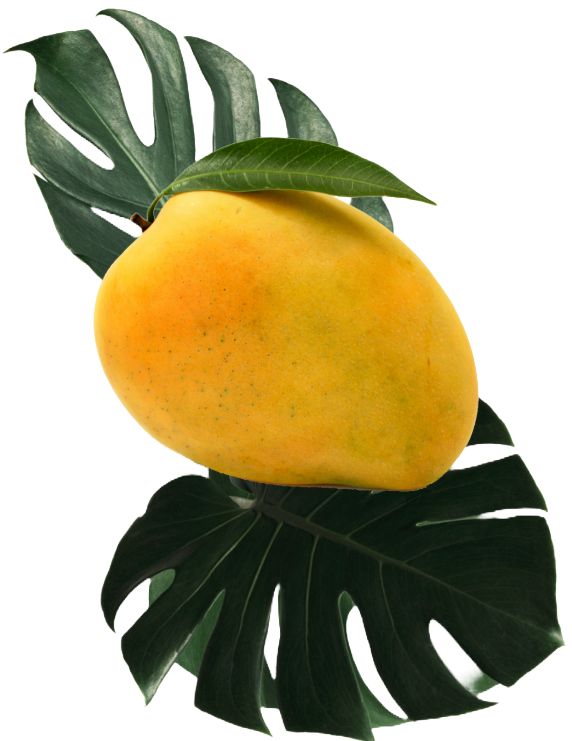 Buy Fresh Mangoes!