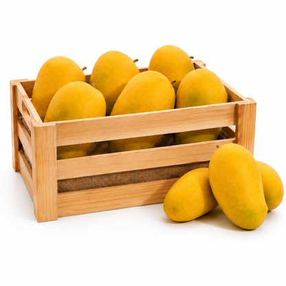 Amrapalli Mango