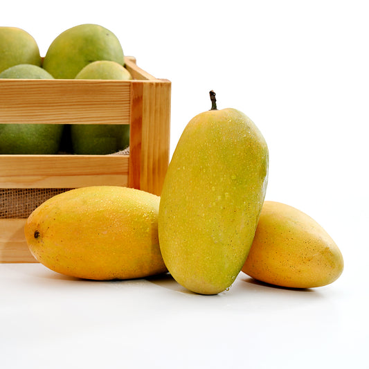 Dasheri Mango