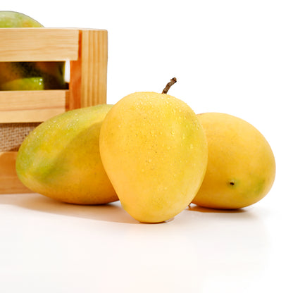 Malgova mango
