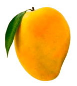 Alphonso