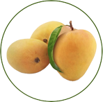 Alphonso