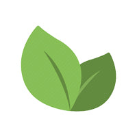 leaves image