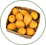 Kesar