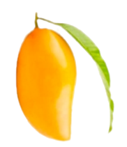 Totapuri