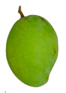 Himsagar