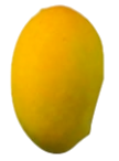 Chaunsa