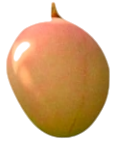 Vanraj