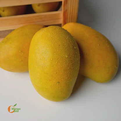 Mallika Mango