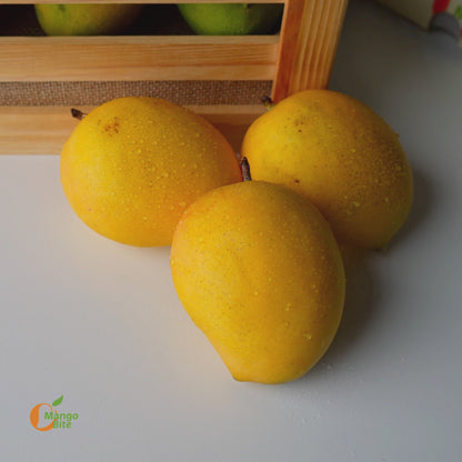 Malgova mango