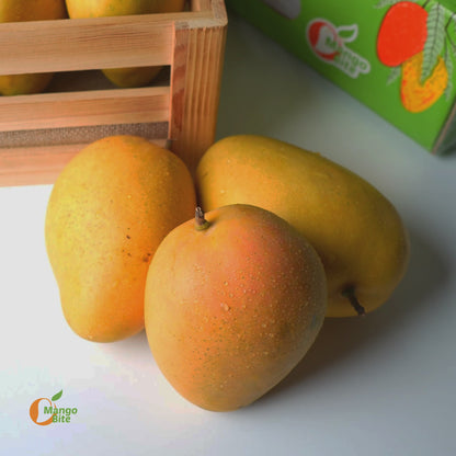Banganapali (Badami) Mango