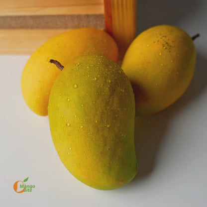 Pedda Rasallu Mango