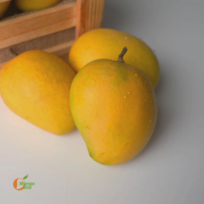 Alphonso Mangoes