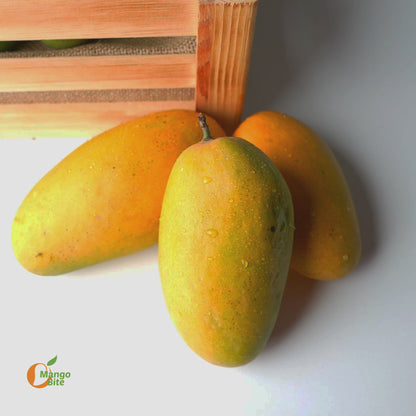Dasheri Mango