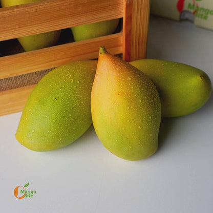 Totapuri Mango
